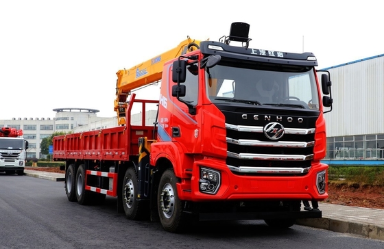 8*4 Modelo de conducción Granada de camión de propiedad previa Hongyan montada 350 hp Euro 6 de trabajo pesado