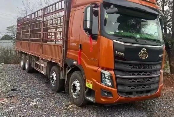 la 2da mano Lorry Orange Color 12 mide el camión del cargo de los cilindros 420hp 2021year Dongfeng del motor 6 de Yuchai del modo de la impulsión 8×4