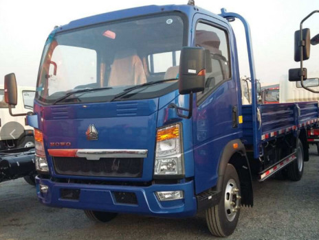 3 toneladas Largo del camión Tanque de carga Howo 4*2 Caja plana Camión de camión Cabina única RHD Euro 2