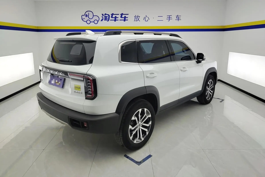 Precio asequible Haval Big Dog 2021 1.5T 2WD Border Collie Edición En venta 2wd Lujo para uso familiar