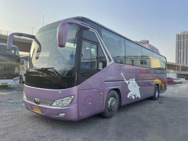 Retardador usado de los asientos de las puertas dobles 47 del chasis del saco hinchable del motor del autobús ZK6119 CNG WP.270 de Yutong